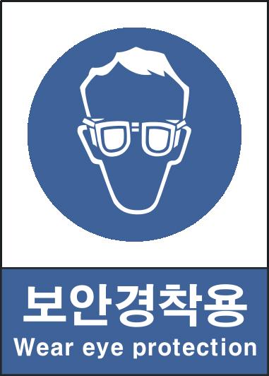 KISA V301(보안경착용)